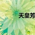 天皇芳朗（关于天皇芳朗简介）