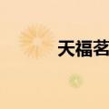 天福茗茶（关于天福茗茶简介）