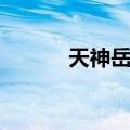 天神岳父（关于天神岳父简介）