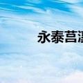 永泰莒溪好玩吗（永泰莒溪门票）