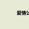 爱情公寓的儿子乔梅里的故事