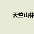 天竺山林场（关于天竺山林场简介）