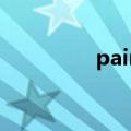 pain and gain 电影介绍