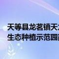 天等县龙茗镇天龙生态种植示范园（关于天等县龙茗镇天龙生态种植示范园简介）