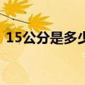 15公分是多少厘米长（1 5公分是多少厘米）