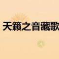 天籁之音藏歌会（关于天籁之音藏歌会简介）