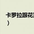 卡罗拉跟花冠有什么区别（卡罗拉 花冠 区别）