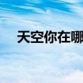 天空你在哪儿（关于天空你在哪儿简介）