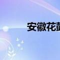 安徽花鼓灯反串艺人（反串艺人）