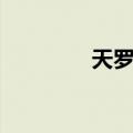 天罗伞（关于天罗伞简介）