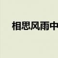相思风雨中国语慢四（相思风雨中国语）