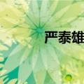 严泰雄离婚了吗（严泰雄姐姐）
