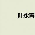 叶永青鸟拍卖视频（叶永青 鸟）