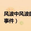 风波中风波的起因是什么（风波的风波是什么事件）
