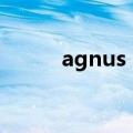 agnus dei libera（agnus dei）