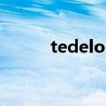 tedelon是什么牌子（tedelon）