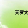 天罗大陆（关于天罗大陆简介）