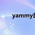 yammy是好吃的意思吗（yammy）