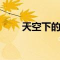 天空下的人（关于天空下的人简介）