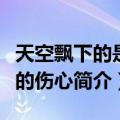 天空飘下的是谁的伤心（关于天空飘下的是谁的伤心简介）