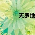 天罗地网（关于天罗地网简介）