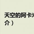 天空的阿卡米雷斯（关于天空的阿卡米雷斯简介）