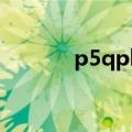 p5qpl am 771（p5qpl am）
