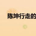 陈坤行走的力量图片（陈坤行走的力量）