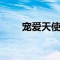 宠爱天使给力码（宠爱天使给力码）