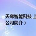 天穹智能科技 上海有限公司（关于天穹智能科技 上海有限公司简介）