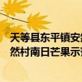 天等县东平镇安然村南日芒果示范园（关于天等县东平镇安然村南日芒果示范园简介）