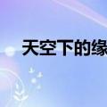 天空下的缘分（关于天空下的缘分简介）