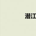 潜江龙虾价格（龙虾价格）