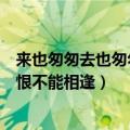 来也匆匆去也匆匆恨不能相逢是什么歌（来也匆匆去也匆匆恨不能相逢）