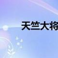天竺大将棋（关于天竺大将棋简介）
