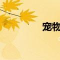 宠物天堂网（369宠物网）