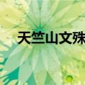 天竺山文殊院（关于天竺山文殊院简介）