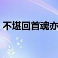 不堪回首魂亦牵什么意思（不堪回首魂亦牵）