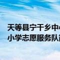天等县宁干乡中心小学志愿服务队（关于天等县宁干乡中心小学志愿服务队简介）