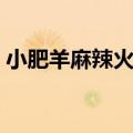小肥羊麻辣火锅底料配方（小肥羊火锅配方）