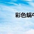 彩色蜗牛币会清零吗（彩色蜗牛）