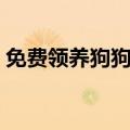 免费领养狗狗正规网站平台（免费领养狗狗）