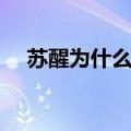 苏醒为什么被辞退（苏醒为什么被封杀）