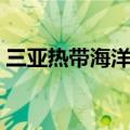 三亚热带海洋世界图片（三亚热带海洋世界）