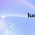 lucky7日剧（lucky 7）