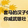套马的汉子你威武雄壮酷狗音乐（套马的汉子你威武雄壮）