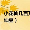 小花仙几百万的仙豆怎么刷的（小花仙怎么赚仙豆）