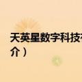 天英星数字科技有限公司（关于天英星数字科技有限公司简介）