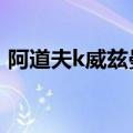 阿道夫k威兹曼百度百科（阿道夫 k 威兹曼）