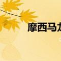 摩西马龙是哪个队的（摩西马龙）